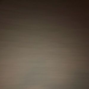 Meet your Posher, Daisy